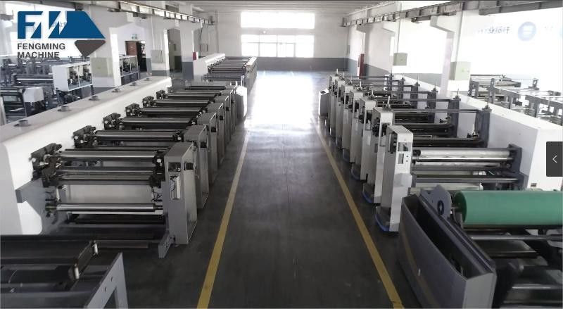 Flexodruckmaschine mit automatischem Lade- und Entlade-System