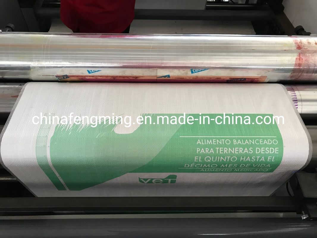 CE ISO9001 FM-Serie Vierfarbiger Flexographischer Druckmaschine 200m/Min