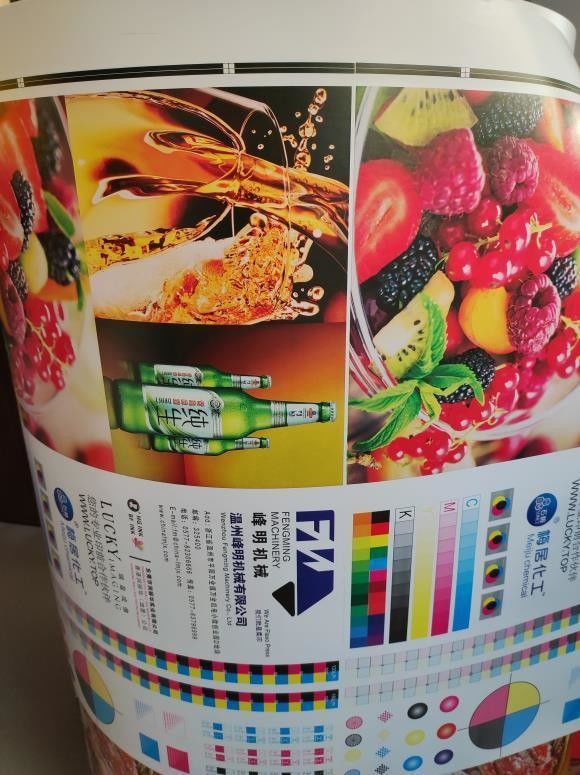 PLC-Steuerung Flexo-Druckmaschine mit Druckschnitt-Wiederholung 286-1200mm und hoher Effizienz