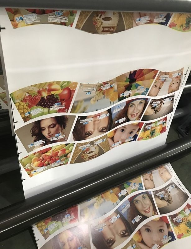 Mehrfarbige Autoverzeichnungen PE-Tasse Flexo-Druckmaschine mit individueller Anforderung