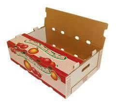 Papierbecher 4 Farb-Flexodrucker mit Anpassungsoption und Druckgeschwindigkeit von 150 m/min