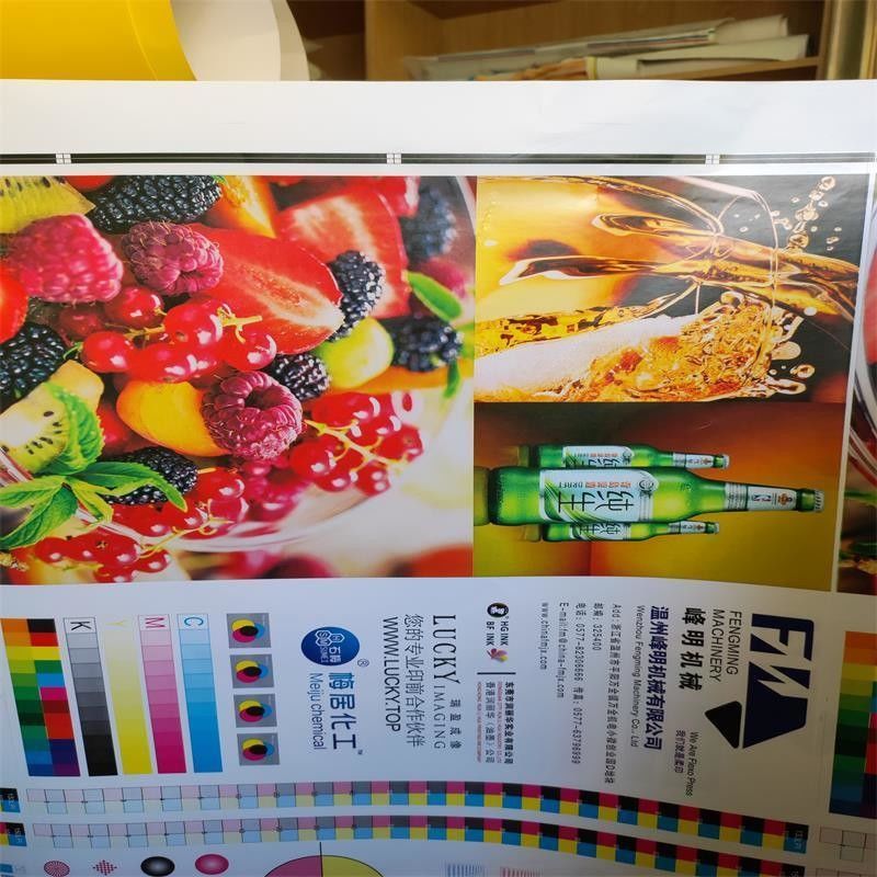 Anforderung nach Maßnahme Hochgeschwindigkeits-Flexodruckmaschine für Papierrollen