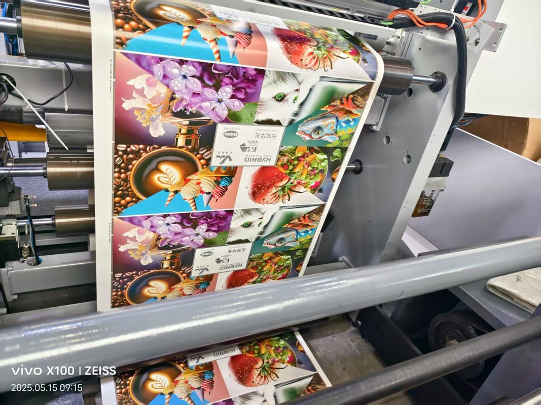 Automatische Hochgeschwindigkeits-Langzeit-Flexodruckmaschine mit 4/6 Farben und IR-Trockner für Pappbecher