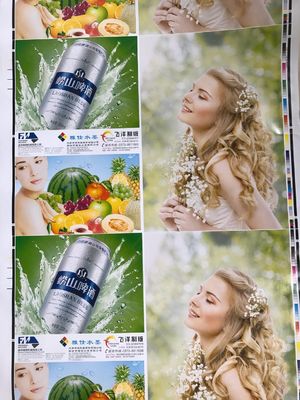 CE zugelassene Fengming-Flexodruckmaschine